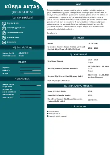 Çocuk Bakıcısı CV Örnekleri cv indir
